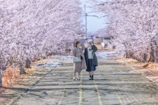 卒業祝いでNISAデビュー。親が手伝える範囲と最初の資金の渡し方