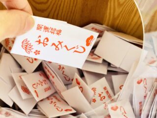おみくじに自分を寄せていくスタイルにする2026年